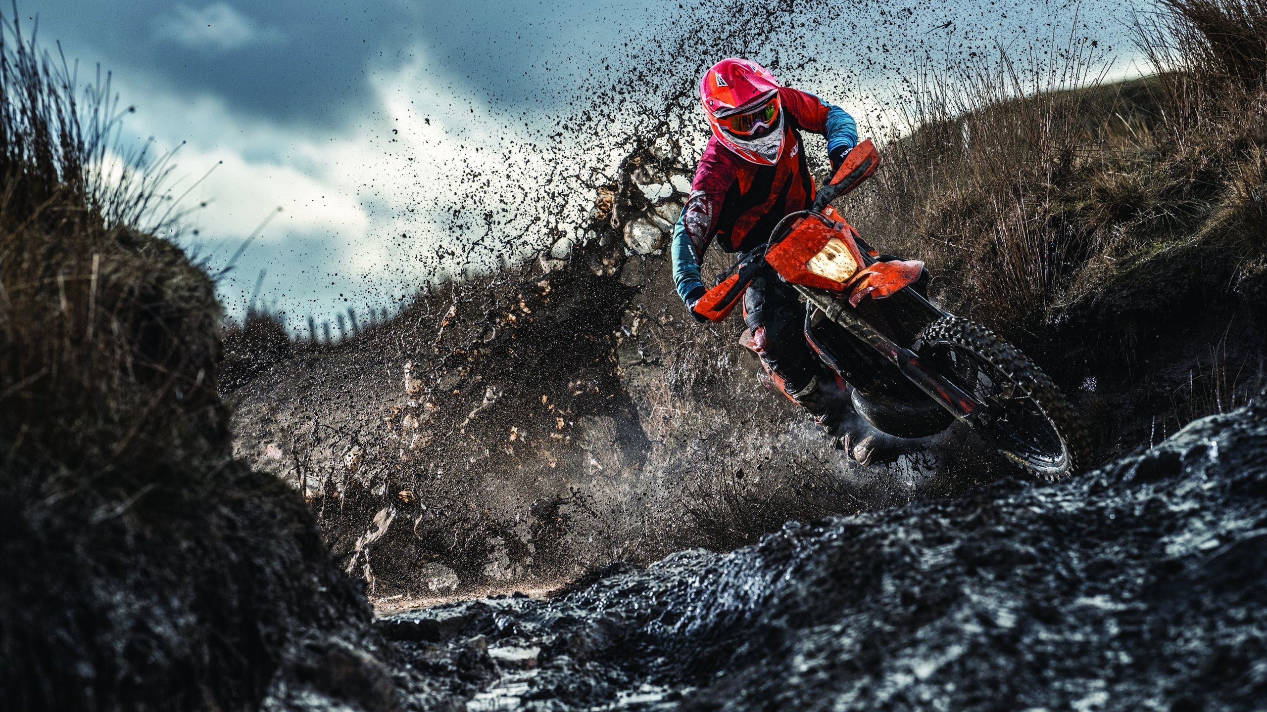 节奏之王，塔图姆在总决赛之夜的完全掌控