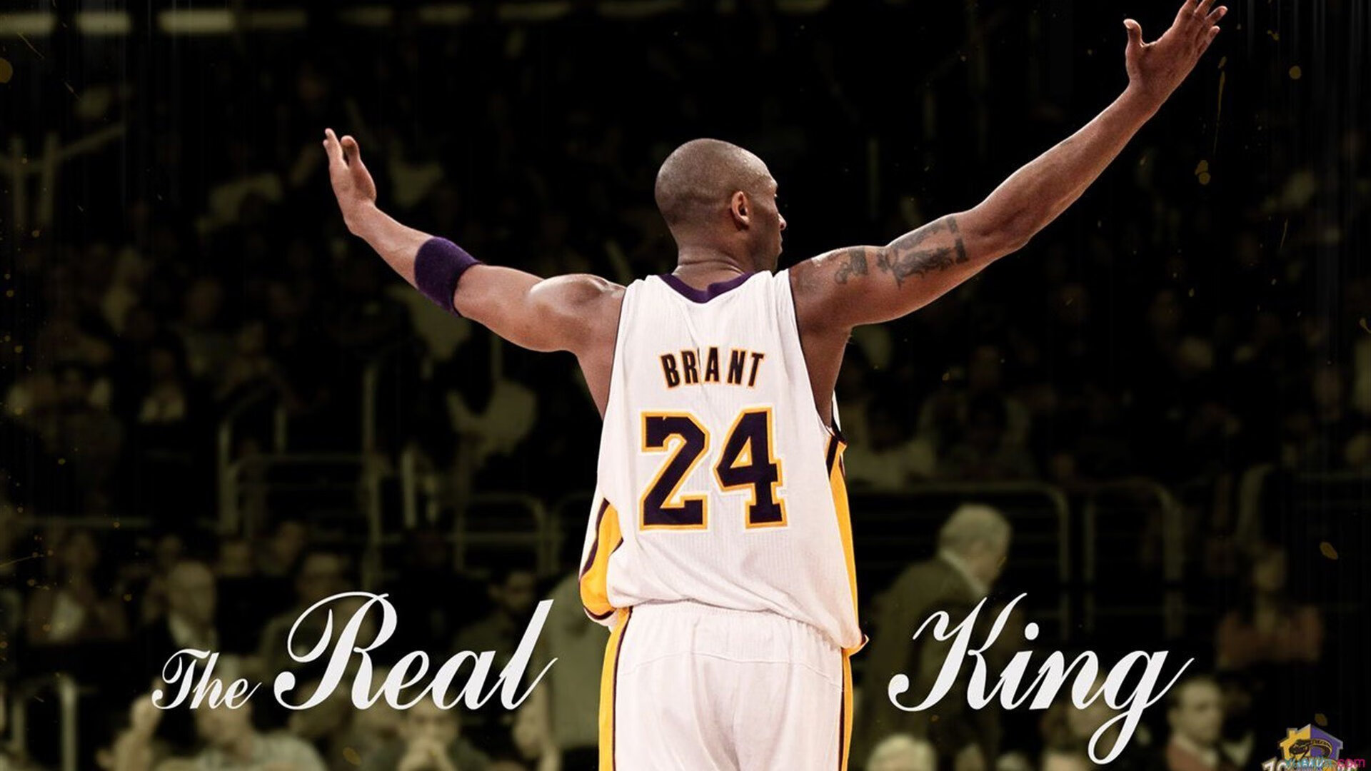 班凯罗彻底打爆防线，公牛险胜骑士，一场战术与意志的较量